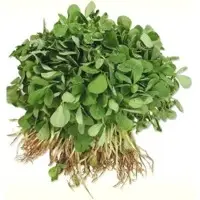 Fresh Methi