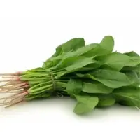 Fresh Palak