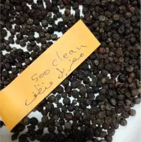 Black Pepper