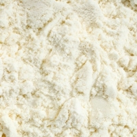 Whey Powder