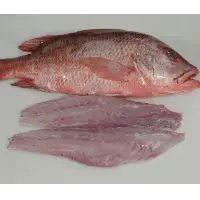 Red Snapper