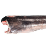 Sword Fish - H&G