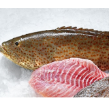 Grouper