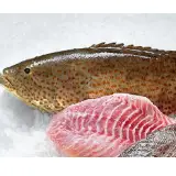 Grouper