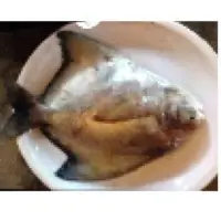 Black Pomfret