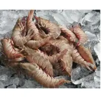 Brown Shrimps