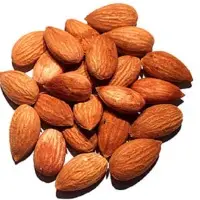 Sweet Apricot Kernels