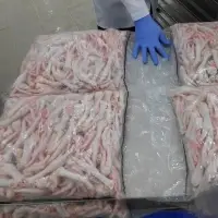 Chicken Feet Grade A