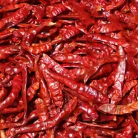 Chilli