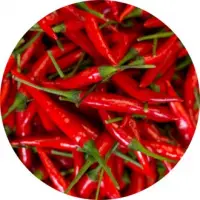 Fresh Red Chilli