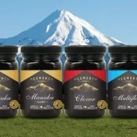 Egmont Lemon Honey 500gm
