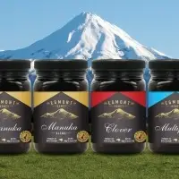 Egmont Lemon Honey 1Kg