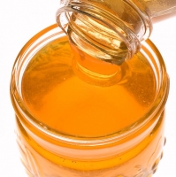 Egmont Kids Honey 500gm