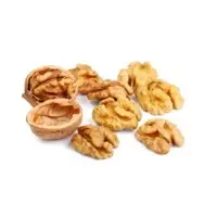High Quality Walnut Kernels