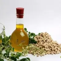 Organic Moringa Oil (Moringa oleifera)