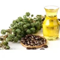Organic Castor Oil