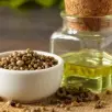 Organic Coriander Oil