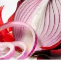 Organic Onion Extract