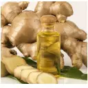 Organic Ginger Extract Total / Oleoresin