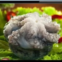 Frozen Octopus