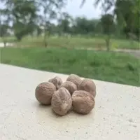 Nutmeg