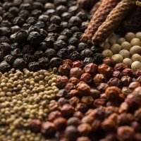 Kampot Pepper