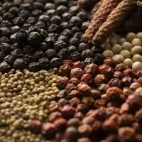 Kampot Pepper