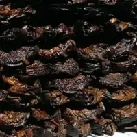 Dried Catfish