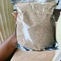 Fonio Bulk Whole Sale