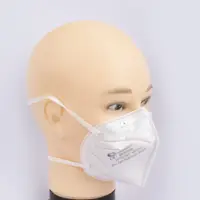 FFP3 Mask