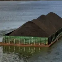 Coal