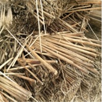 Jute Stick