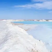 Rock Salt And Sea Salt