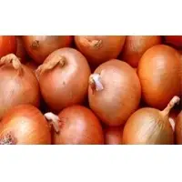 Onions