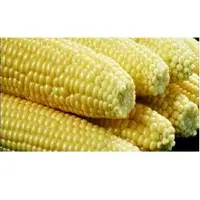Corn