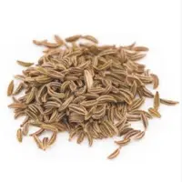Cumin Seeds