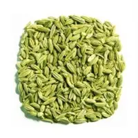Fennel Seeds