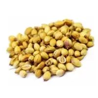 Coriander Seeds
