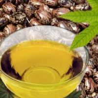 Castor oil and Derivatives