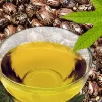 Castor oil and Derivatives