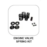 Engine Valve Spring Kit