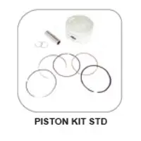 Tvs Apache 160 Piston Kit Std