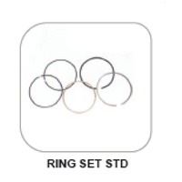 Tvs Apache 160 Ring Set Std