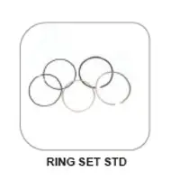 Tvs Apache 160 Ring Set Std