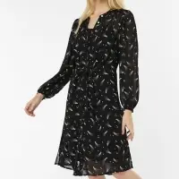 Women Printed Dress