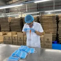 Medical Face Mask Viet Nam