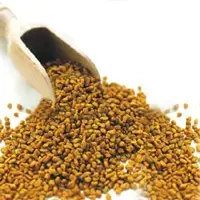 Fenugreek Seeds Or Methi