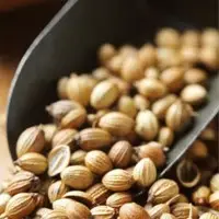 Coriander Seeds or Dhaniya