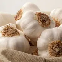 Garlic or Lahsoon