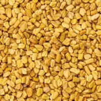 Fenugreek Seeds